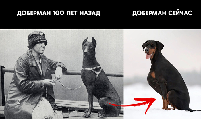  100  1 .   ,  ,     !