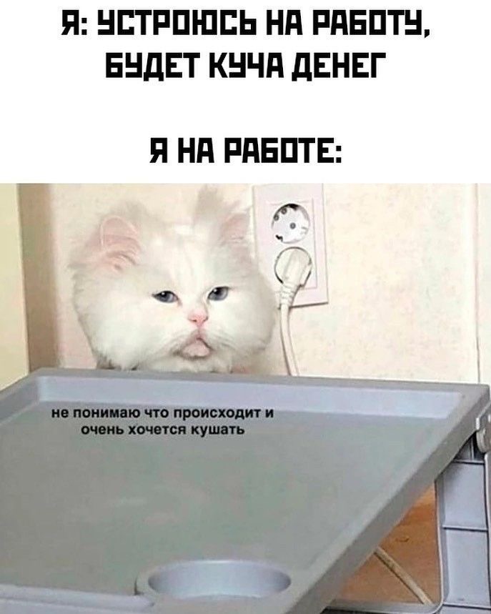 Когда кстати обед?