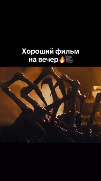   (2025)  ,   ,        .     