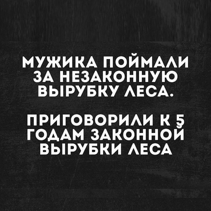 ������������ ������ ���������