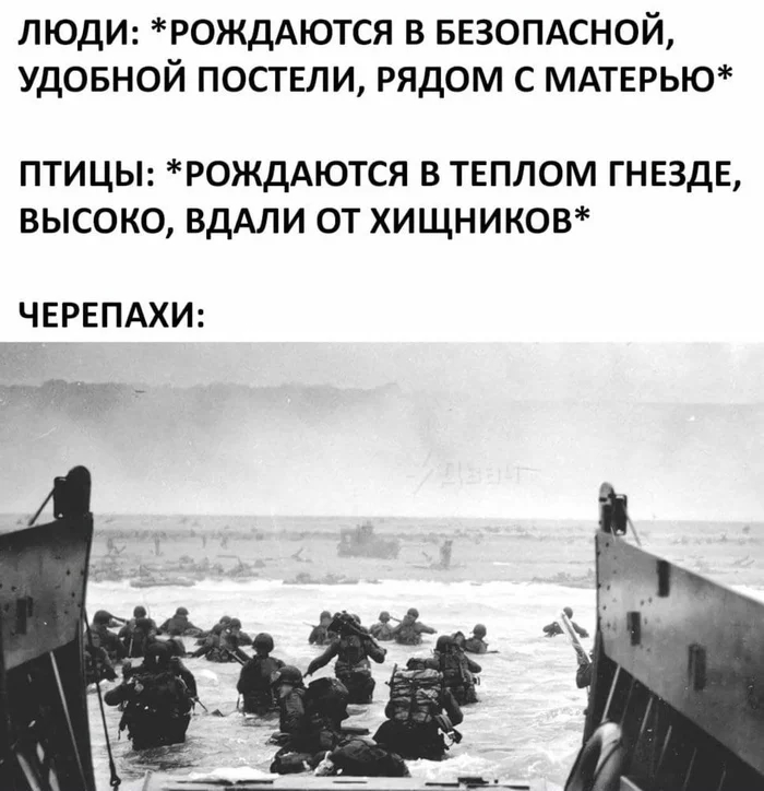 Спринт смерти