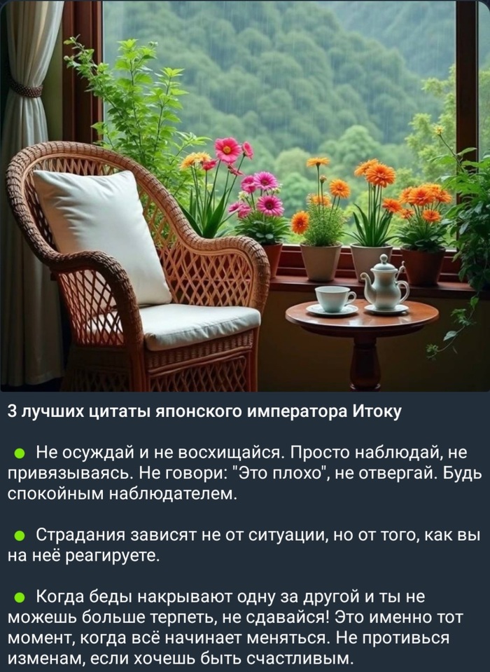  : &quot; &quot;.      (  )