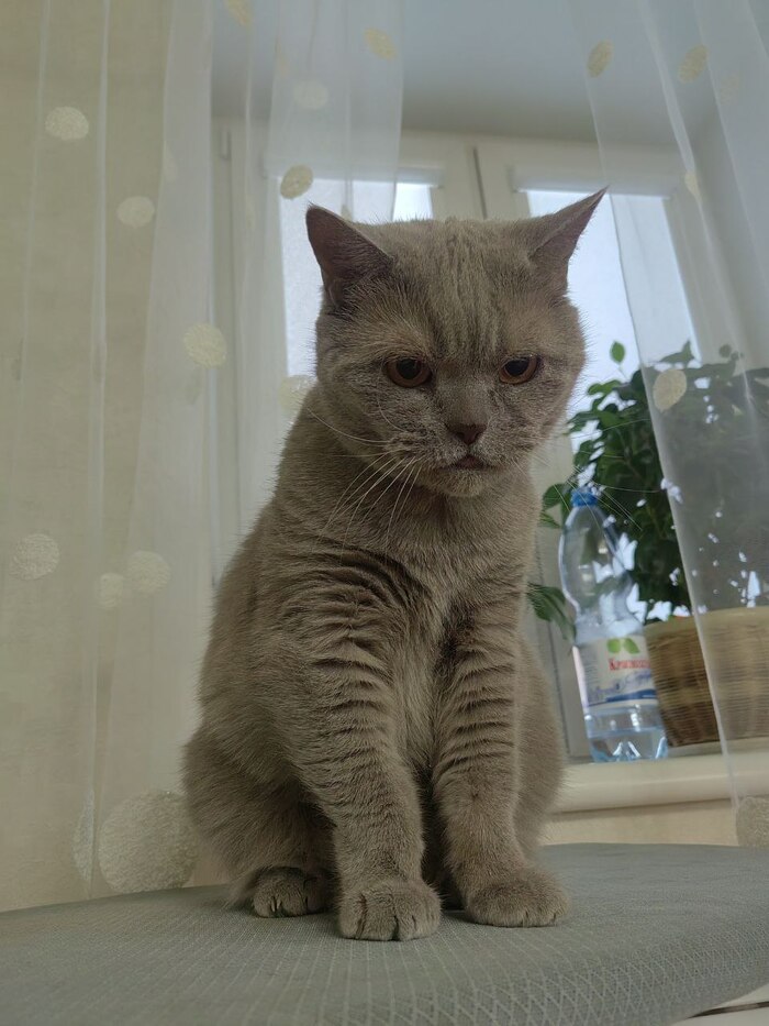 Вопрос Путину