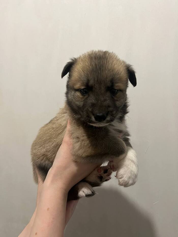 Деловой пацан