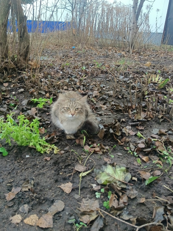 Может кто потерял или захочет забрать себе?
