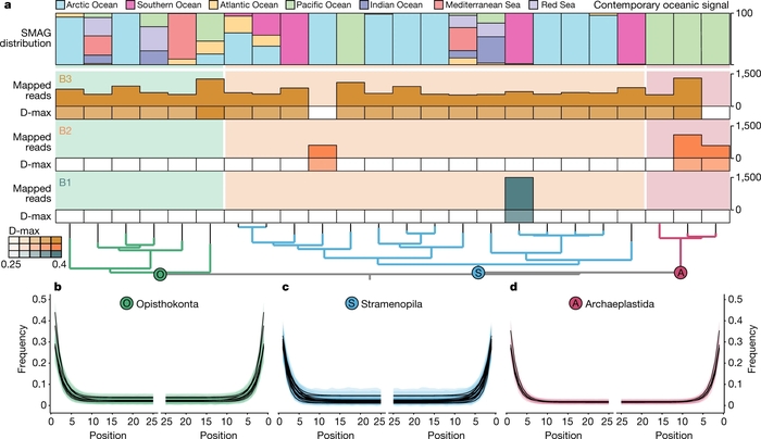 ,         ,   ,   .     ,          )