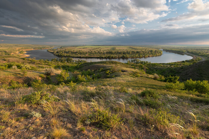 Родные просторы