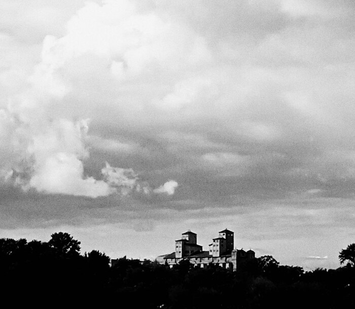 Очередная притча с собаками