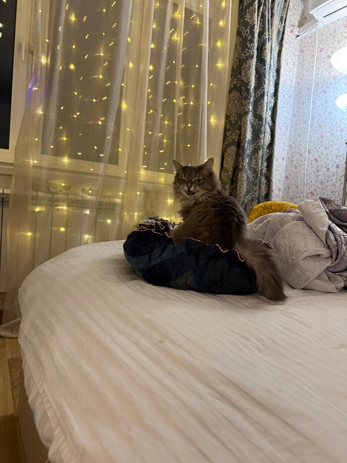 Хе-хе-хе (с) Гуся