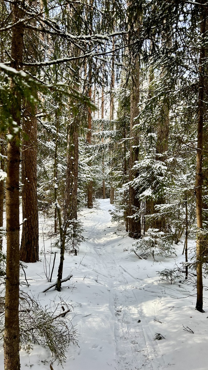 Снежный февраль