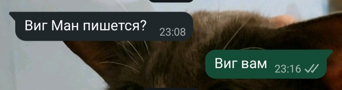 Виг вам из Ривии