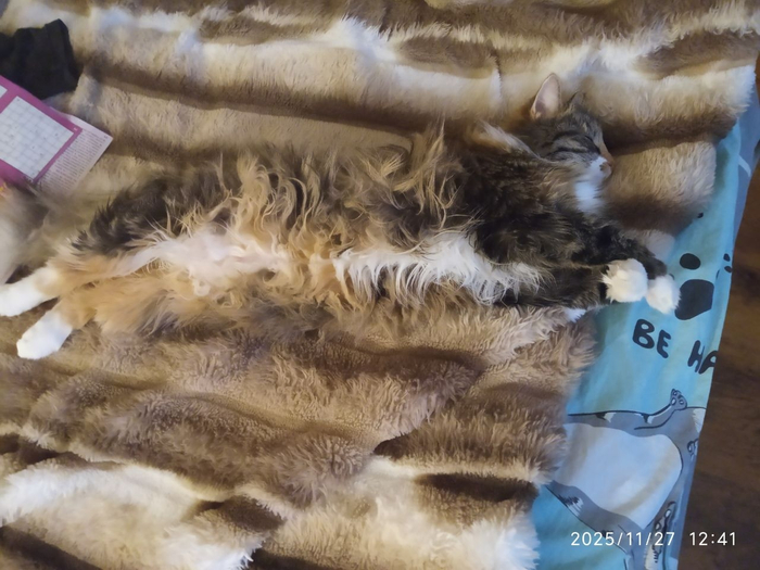 Тоже гений маскировки)))))