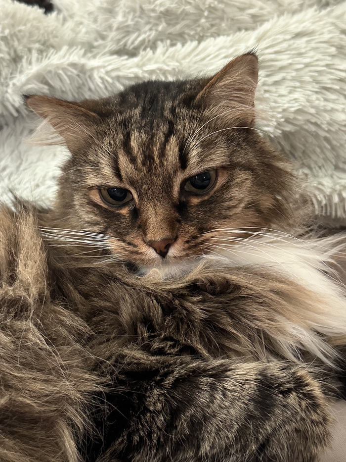 Тот кого нельзя назвать