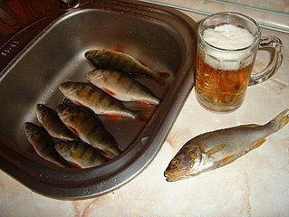 Сам поймал, сам завялил