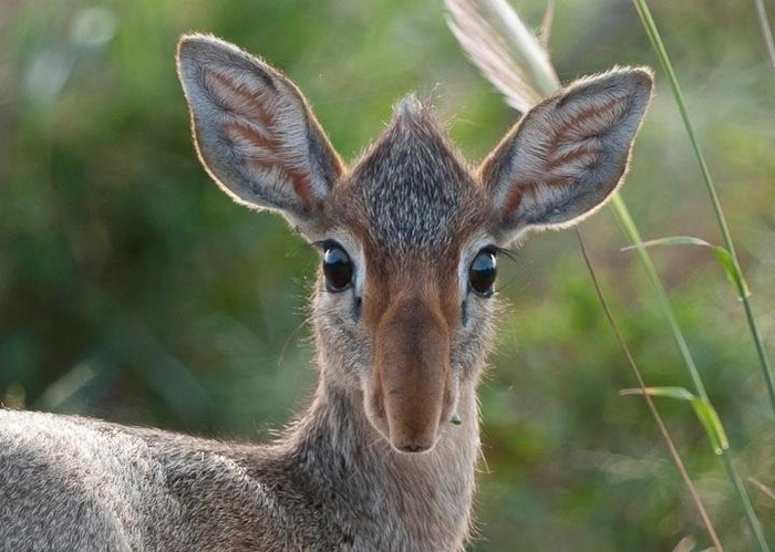  : ,      ,   .  :  .