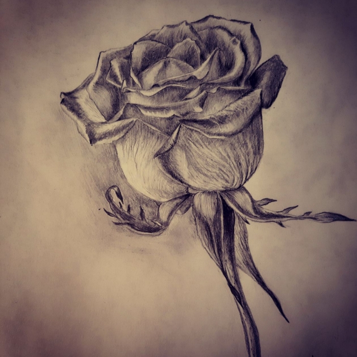 Наверное, я не художник. Но рисовать люблю