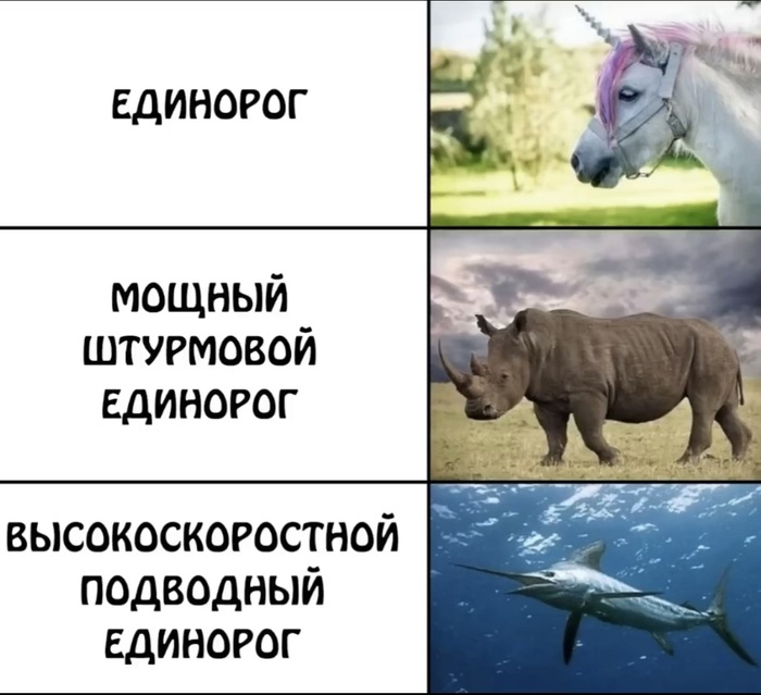 ��� ���� ����������