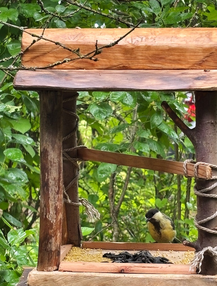 «Здравствуйте, вы нам еще семечков подаете или просто показываете?»