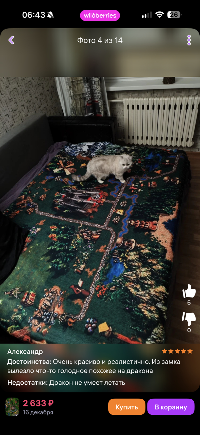 Дракон не умеет летать