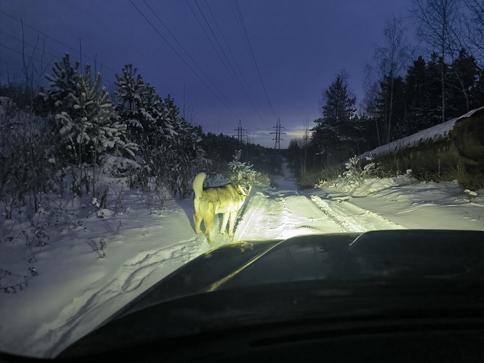 редкий кадр, когда успел сфокусироваться телефон, обычно одна жопа видна метрах в 15-20