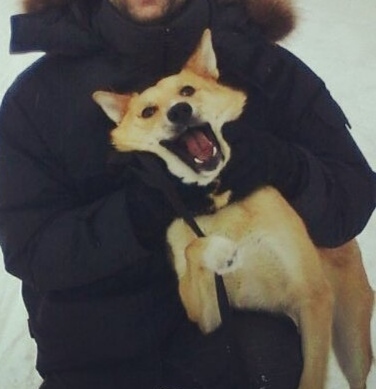 Ответ atomicledokol в «Довольная собака»