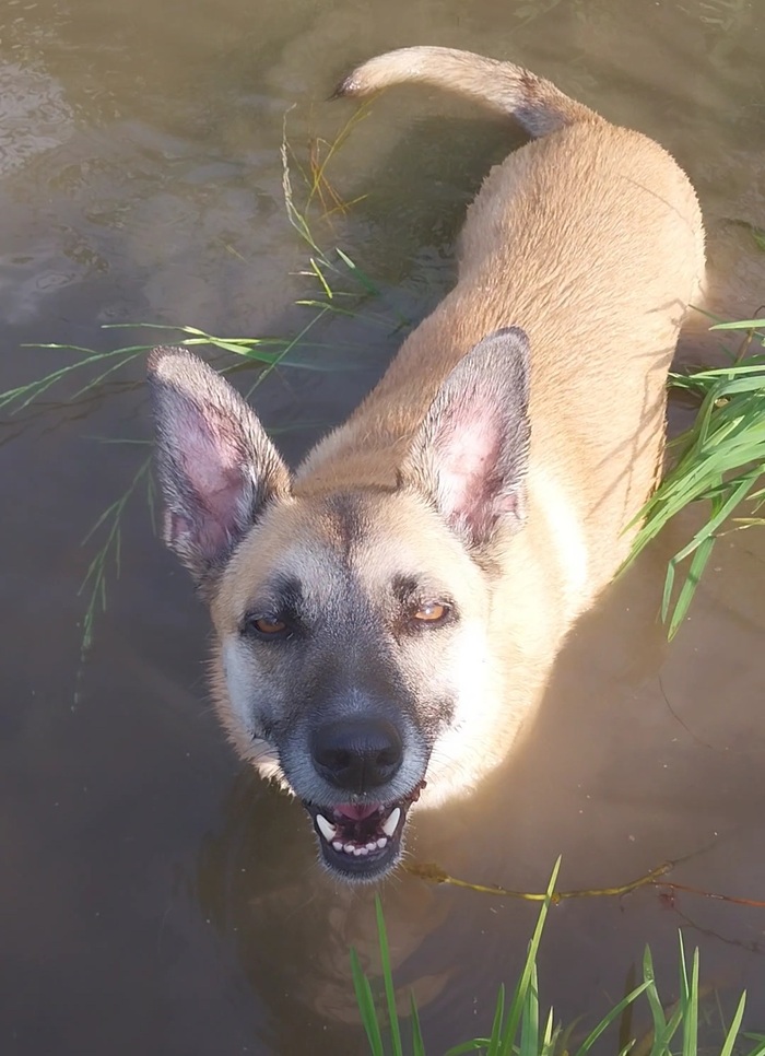 ����� �� ���� "��������� ������"