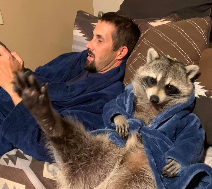 Ответ atomicledokol в «Довольная собака»