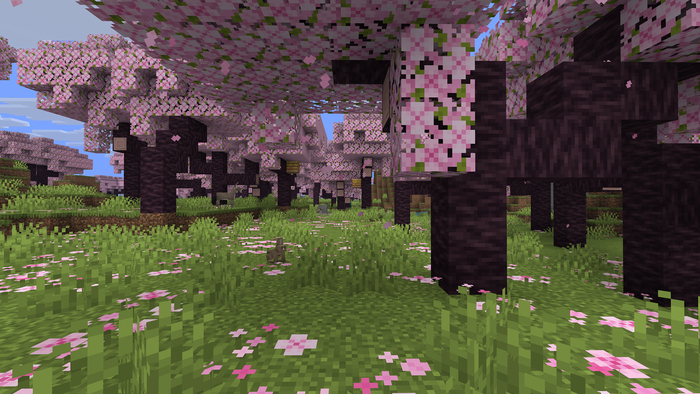 Биом который появился в прошлом году, этот биом называется "вишнёвый сад"