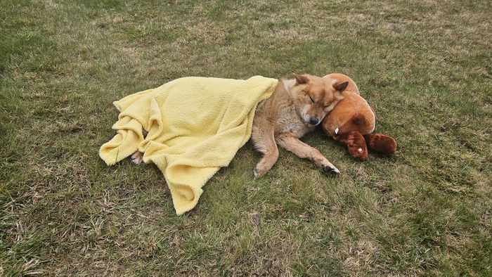 ϸ  ,     .    ,     .      ,   ,      ,        =)