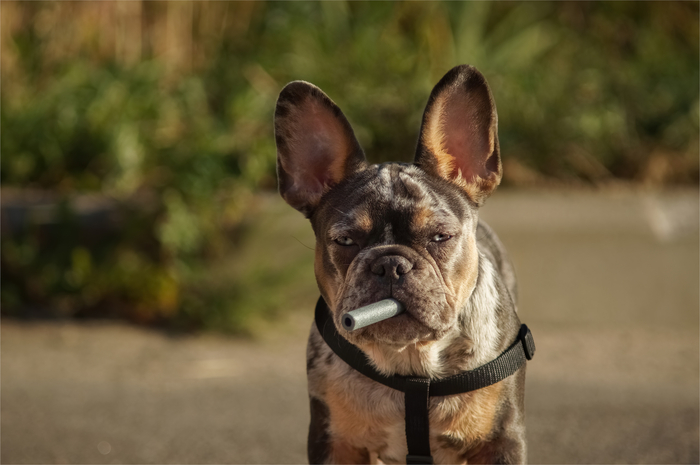 Довольным быть не получается