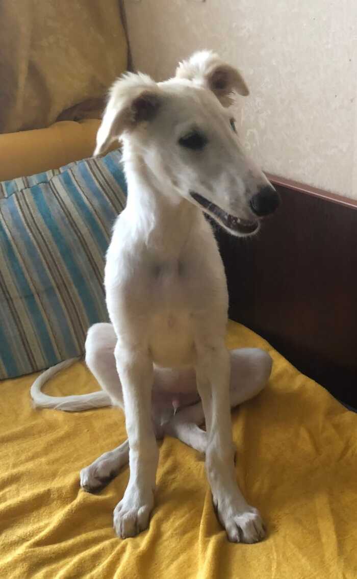 Первая улыбка в нашем доме)).