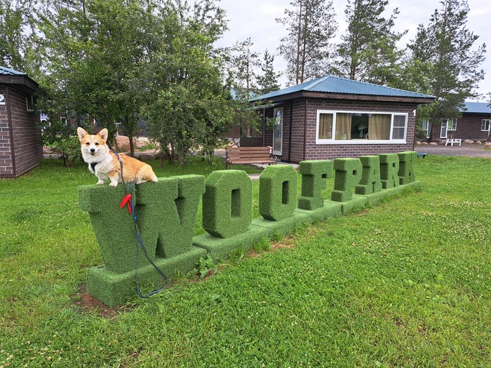 Довольный Марсель на отдыхе