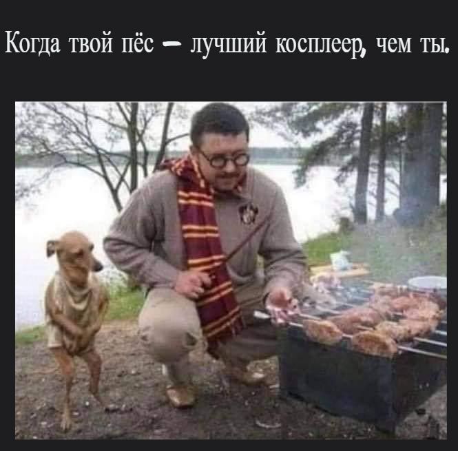 Давай мясо ! Давай мясо!