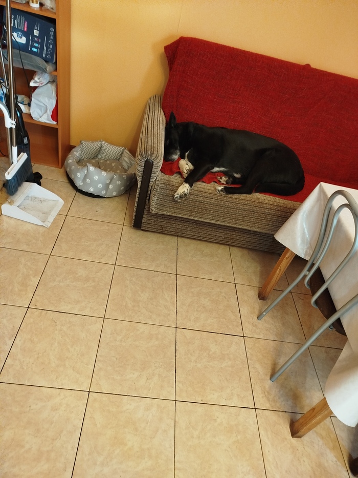 Шпать, шпать, шпать