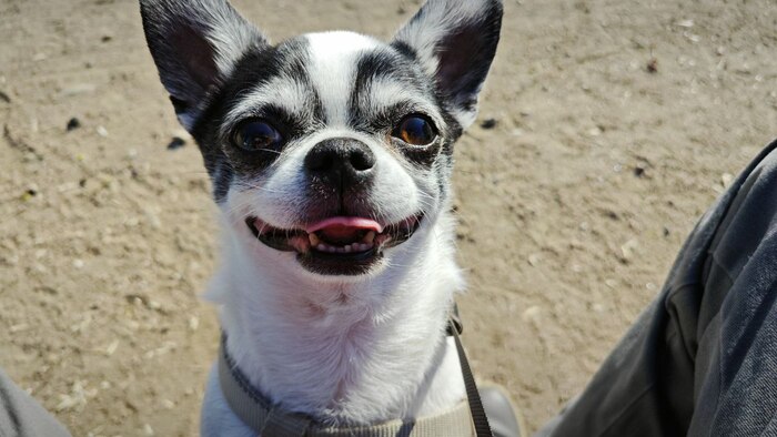 На прогулке летом