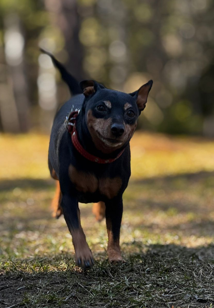 И побегать любит.