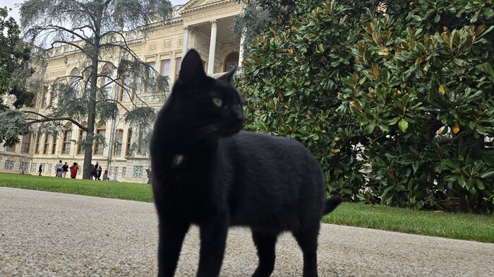 А эта дама вообще нас в игнор отправила. Ходют тут всякие...