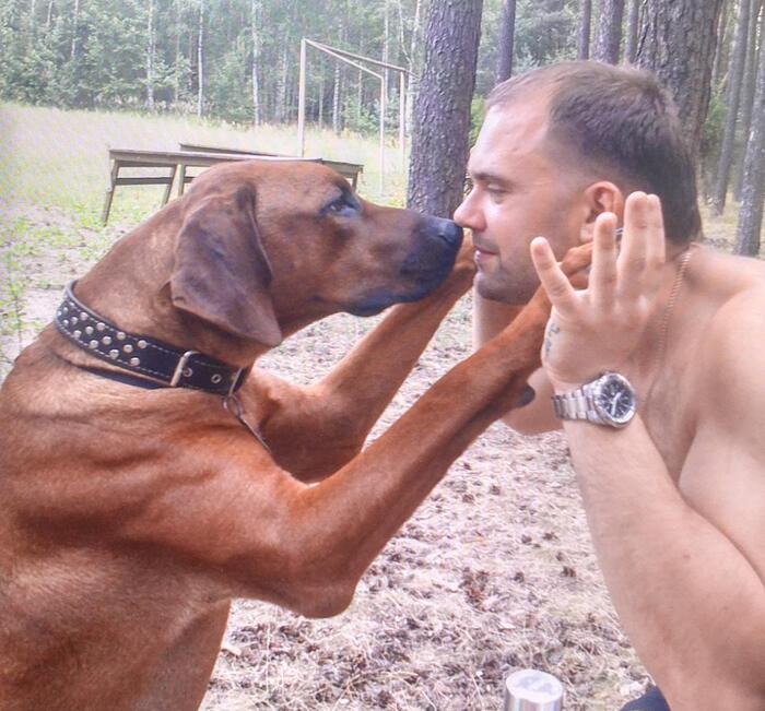 Ответ на пост «Довольная собака»