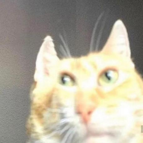 Ответ (Моё лучшее фото в этом году)