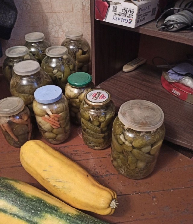 Освоить заготовку огурцов оказалось не так и просто