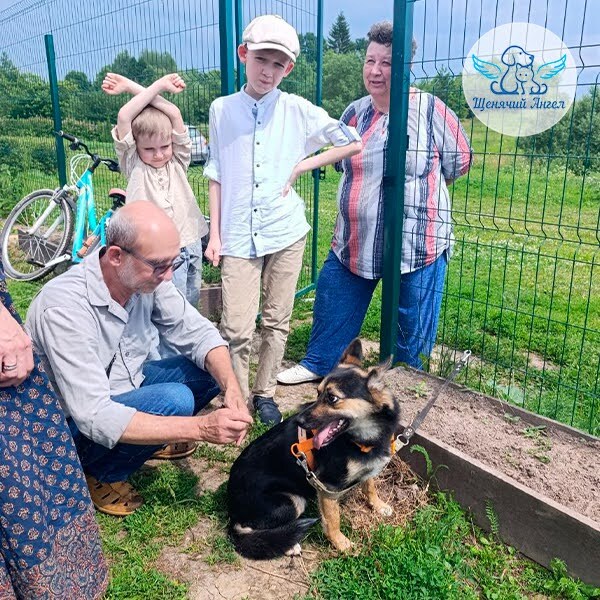 Наша подопечная Одри и ее семья: бабушка, дедушка и юные хозяева