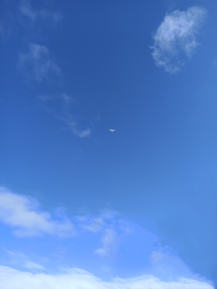 Ответ на пост «Мой лучший кадр в 2024 году»