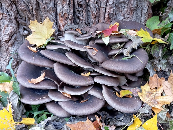 Фото С. Кривошеева.