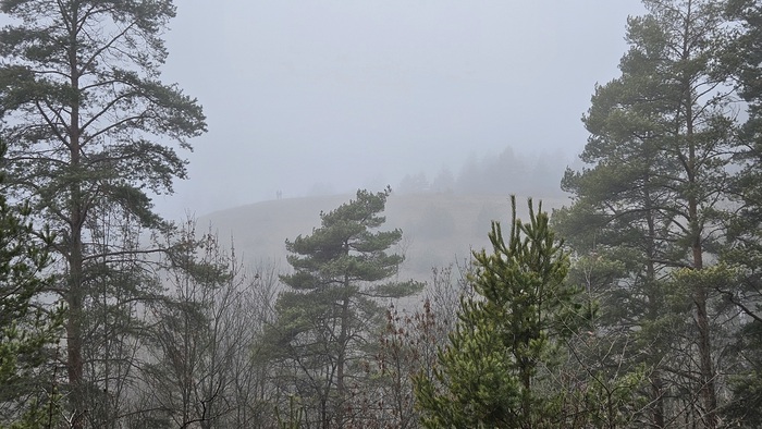 Свидание туманным утром