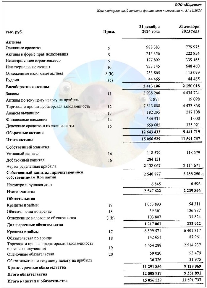 Источник: Отчет ООО «Миррико» по МСФО за 2024