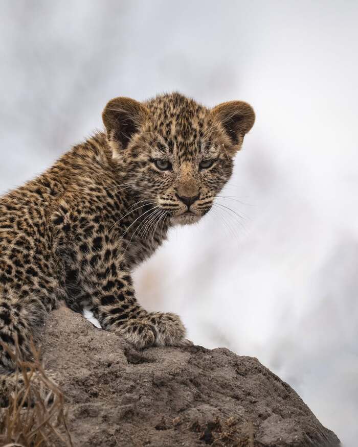 Не выспался