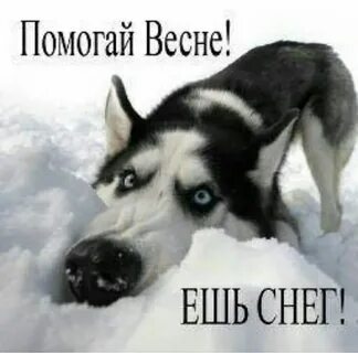 Хорош уже каждую снежинку глотать!