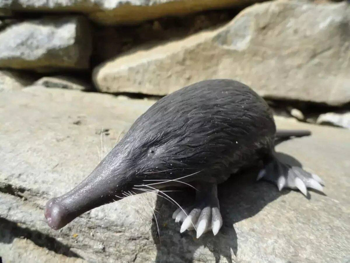 ������ �� ��������, ����������, � �� �� ��������(((