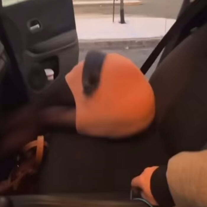 Я отпускаю тебя!