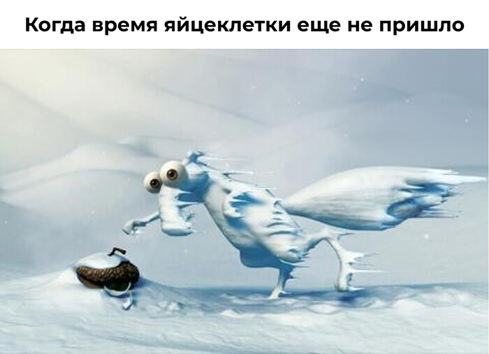 ����� ������������ ���������� � ��� ������� ��� ��������� � ������������ �������